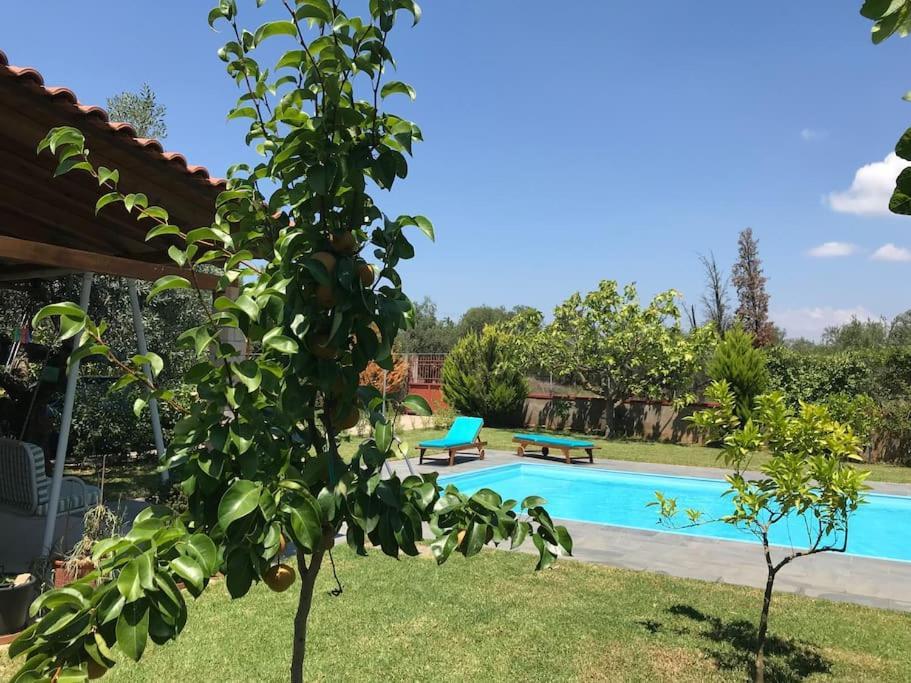Evelina Holiday home Kalamata